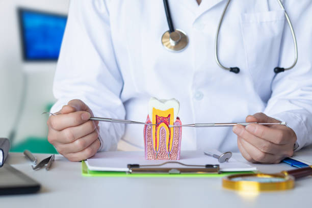 Best Broken Tooth Emergency  in Nneconne, WI